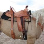 Roper - custom carving, barbed wire w Santa Fe Diamond border, latigo wrap, dark stirrup leathers and cantle, straight-back, floral  (1)