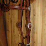 Basic headstall - 5-8ths inches wide w stainless steel floral hardware